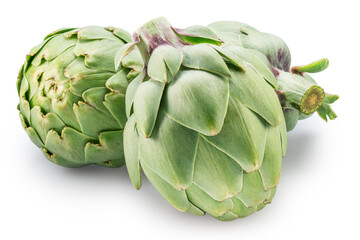 Obraz premium Three french artichokes isolated on white background. File contains clipping paths.