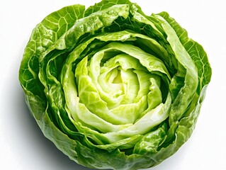 Obraz premium Iceberg lettuce head isolated on white