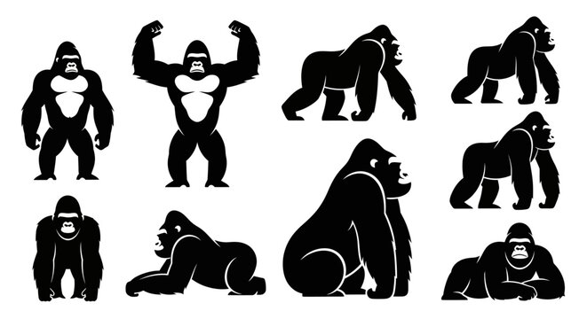 Collection of black gorilla silhouettes in various poses