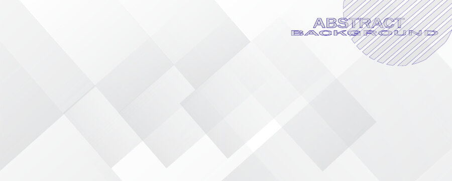 White Grey Silver Box Rectangle Abstract Background Vector Presentation. Gray and white color geometric modern design for background with copy space