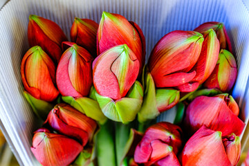 Flowers arranged in a box showing pink and green colors at a market in spring during the day with fresh blooms ready for sale
