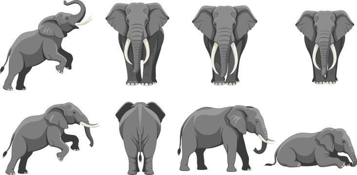 African elephant poses collection showing front side back and resting wildlife vector illustration set