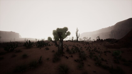 A vast desert scene showcases interesting cacti silhouettes against a soft, fading sky. The sandy terrain is dotted with dry plants, emphasizing the serene and quiet mood of twilight.