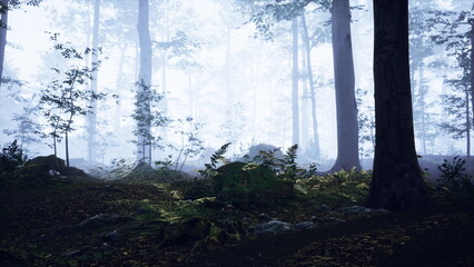 Obraz premium Soft mist blankets a tranquil forest scene, with tall trees rising through the fog. Ferns and moss covered rocks create a peaceful landscape. Nature feels alive and magical in this still moment.