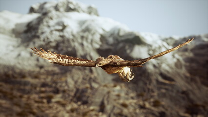 Fototapeta premium A magnificent hawk glides gracefully through the air, capturing prey in its sharp talons. The backdrop features stunning snow capped mountains under a soft golden light, creating a serene scene.
