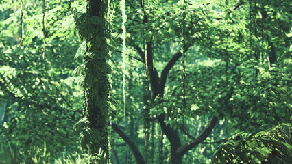 Fototapeta premium Sunlight filters through the dense canopy, illuminating a tranquil forest scene. Exotic plants and towering trees create a serene atmosphere, inviting exploration and reflection.