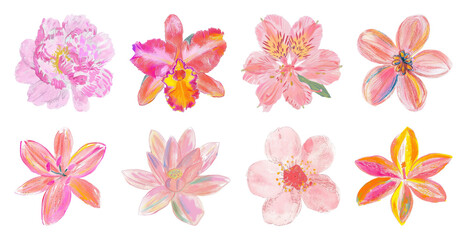 PNG Vibrant watercolor floral illustrations element set on transparent background