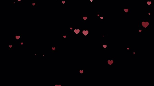 Red Heart Falling background Animation on transparent Background,numerous falling red hearts motion graphic video animation,heart particle effect for Valentines Day,wedding,love, marriage ,anniversary