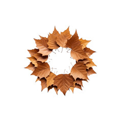 Autumn leaves arranged in a circle on Transparent Background