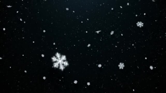 Snowflakes Falling Against Dark Background Slow Motion.