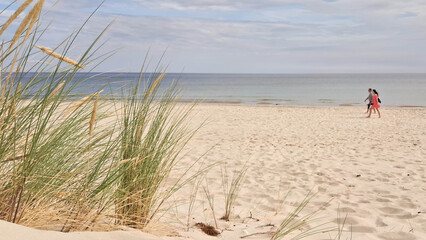 Baltic Sea in summer season.