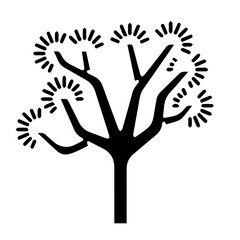 Fototapeta premium Joshua Tree Silhouette