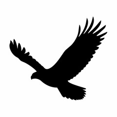Obraz premium Majestic eagle soars through the sky in a powerful silhouette display