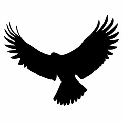 Majestic Eagle Soaring High in the Sky A Symbol of Freedom and Power