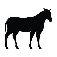 Obraz premium Silhouette image showcasing the graceful lines and form of a horse
