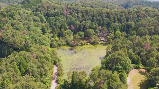 【4Kドローン映像】極楽寺山・蛇の池の静寂 ― 森に佇む神秘の水景