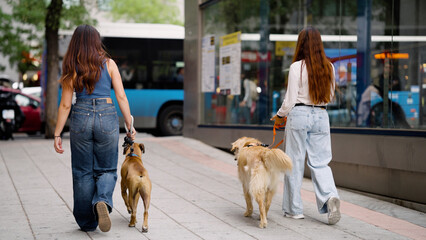 Two young women from behind walking their dogs on leashes along a city sidewalk, passing a bus stop and urban reflections