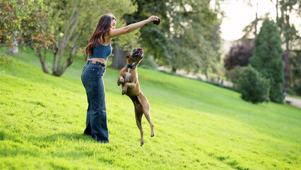 Woman playing fetch with her dog in a sunny park, the boxer dog actively jumping to catch a pinecone