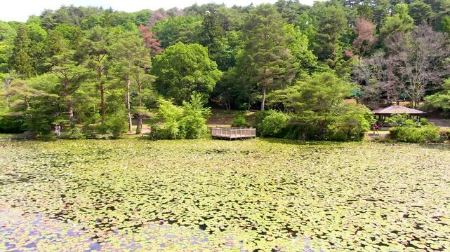 【4Kドローン映像】極楽寺山・蛇の池の静寂 ― 森に佇む神秘の水景