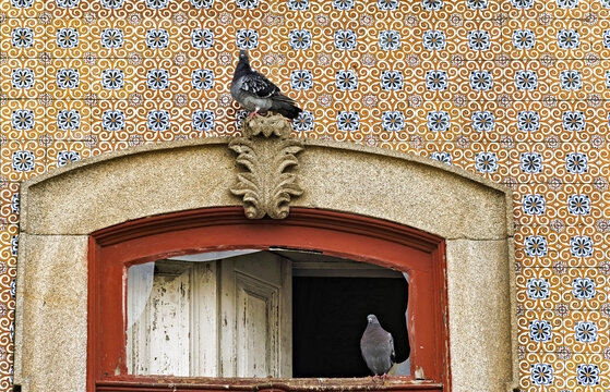 Architectural detail in Ovar showing a tiled facade with a geometric pattern in blue, white, and orange shutter anchors the composition. Two pigeons animate the scene