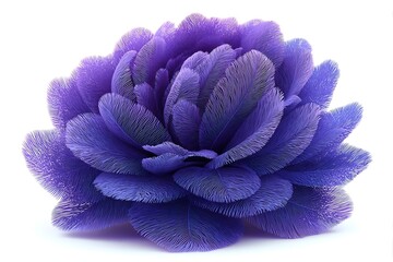 Vibrant purple flower bloom isolated on white background