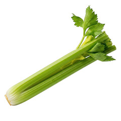 Fototapeta premium A vibrant fresh celery stalk with detailed leaves and a light green hue isolated on transparent background