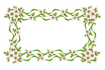 Obraz premium Floral frame with wavy green leaves, white flowers. Botanical watercolor horizontal template in vintage style. Perfect for wedding invites, botanical prints, eco design, summer and spring decoration