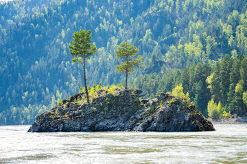 Bear Island located on Katun river in Altai Russia. Scenic river island surrounded by mountain waters and natural landscape.