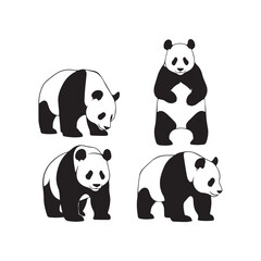 Panda Silhouette Vector Set
Panda Standing and Sitting Silhouette Black and White
Panda Vector Illustration Set