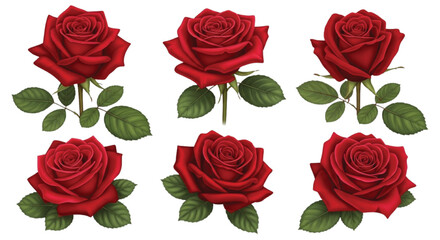 Obraz premium Realistic Red Rose Collection with Leaves, Detailed Botanical Floral Set for Valentine's Day