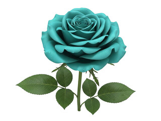 Blue rose with green leaves on black background isolated on a transparent background