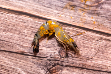 Close-up of a prawn on woden background