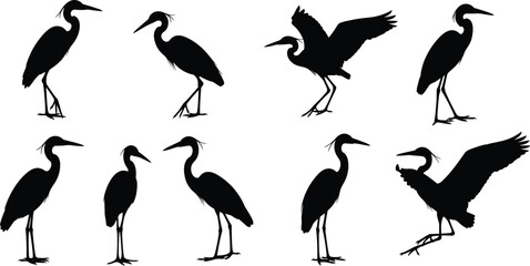 Set of heron bird silhouettes in black showing standing and flying poses for wildlife illustration, nature design, and vector graphics