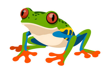 Obraz premium Red eyed tree frog illustration