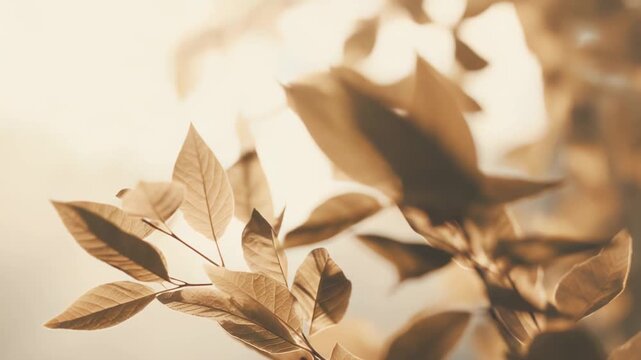 Golden leaves with detailed veins absorb warm sunlight, casting soft shadows and creating a tranquil, ethereal glow reflecting natural beauty and growth