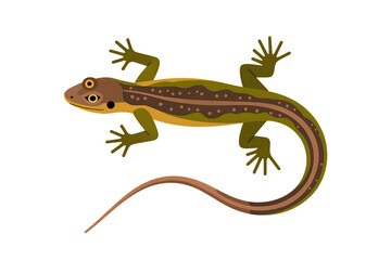 Obraz premium Illustration of a brown and green spotted lizard reptile