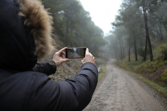A bearded man contemplates the landscape of trees and mist on a foggy winter day.