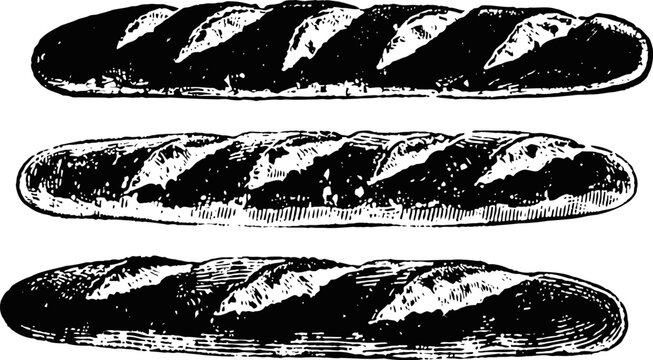 Three traditional baguettes illustrated in black and white vintage