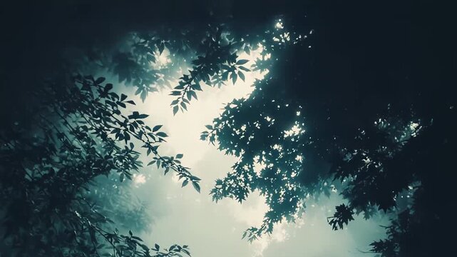 Dark tree branches are silhouetted against thick, mysterious fog, creating an atmospheric and serene natural scene with diffused light filtering through the ethereal mist