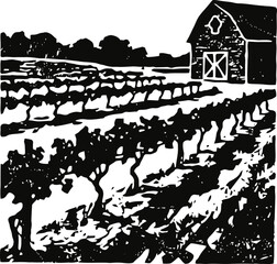 Obraz premium Vineyard landscape with rows of grapevines and rustic barn in countryside farm setting