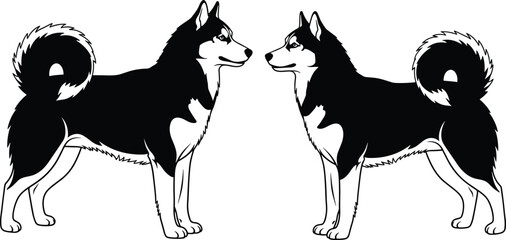 Siberian husky dog vector illustration, black and white standing pet silhouettes facing each other, animal profile clip art, cad drawing flat vector illustration © Sujay