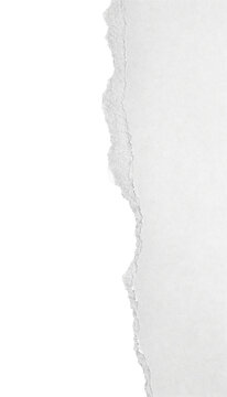 Torn paper edge with rough texture and ripped margin