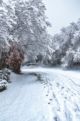 Beautiful landscape in Sirente Velino Park in winter