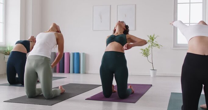 Yoga group class in studio practicing backbend pose. Women kneel on mats, arching into camel, opening chests with steady breath and focused fitness. Strength, flexibility, and inner wellness.