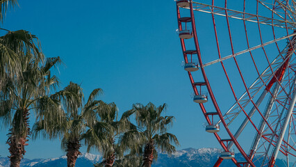 Ferris wheel with palm trees against blue sky and snow-capped mountains © Наталья Добровольска