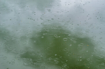Raindrops hitting water creating ripple circles