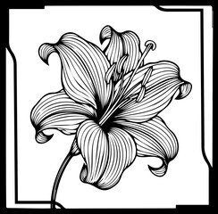 A black and white vector illustration of a beautiful lily flower in a square frame