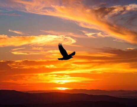 Silhouette of a majestic bird in flight against a vibrant sunset sky with mountains on the horizon