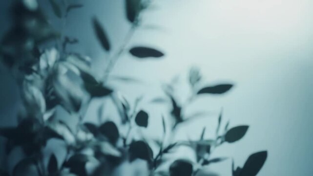 Plant branches with subtle leaves reaching upwards, bathed in a gentle light that graduates from dark blue to a lighter teal, creating a serene and natural background