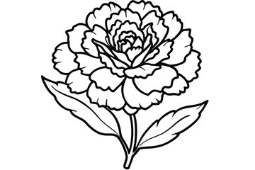 Obraz premium carnation flower silhouette line art vector illustration